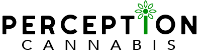 COO & Technical Lead